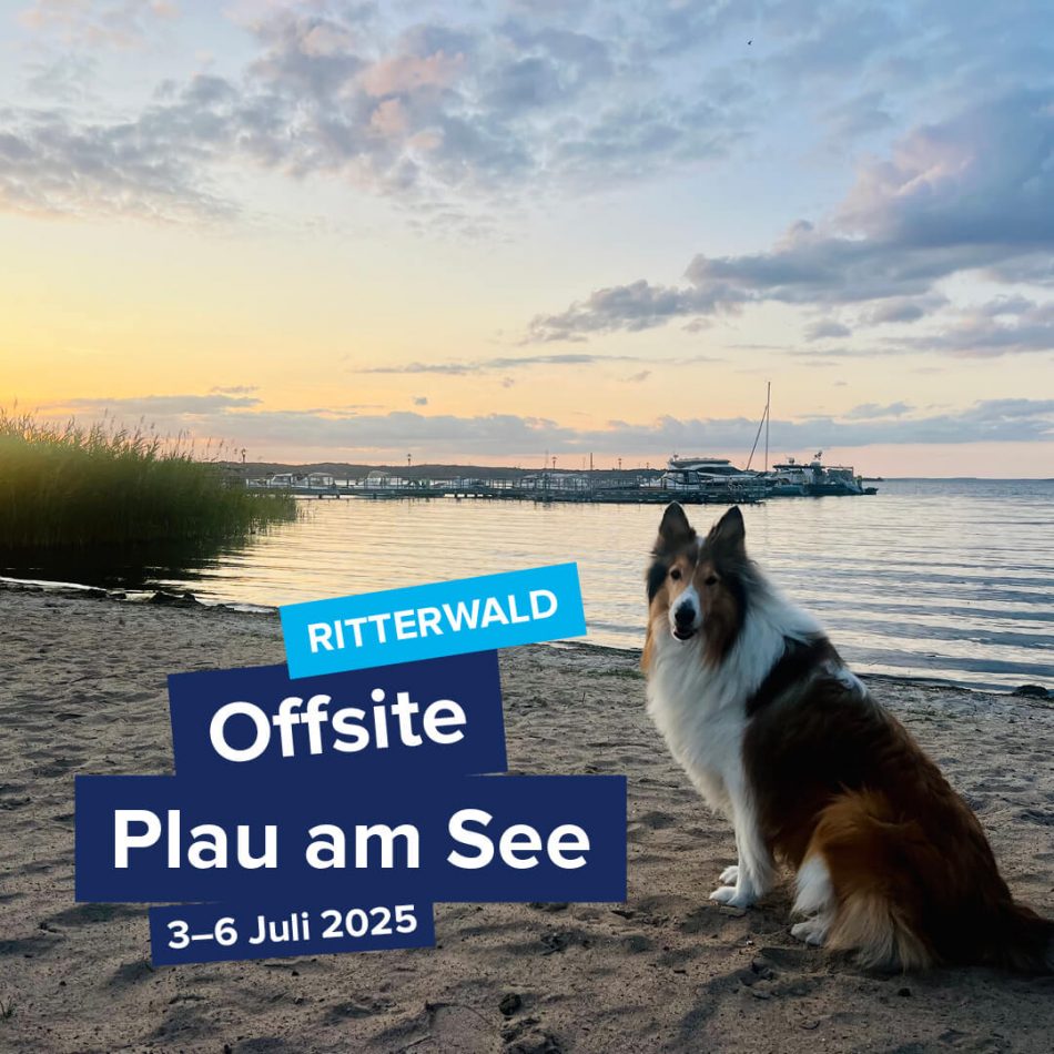 Kein Alt-Tag.